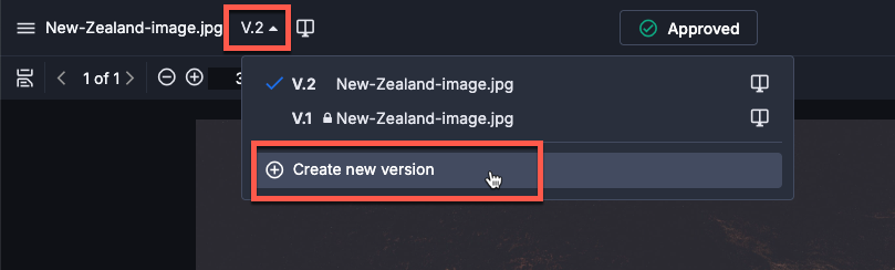 upload-new-version-proof-viewer.png